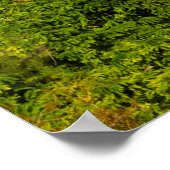 Oude tempels en pagode | Bagan Poster (Hoek)