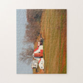 Oude Tennessee-schuren. Legpuzzel (Verticaal)