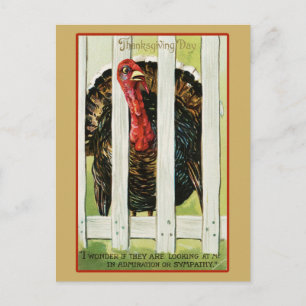 Oude Thanksgiving kalkoen Briefkaart