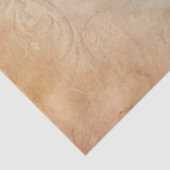 Oude Tijden Vrouw Peacock Tissue Paper Tissuepapier (Detail)