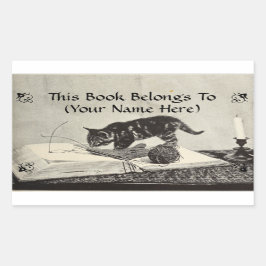 Oude Timey Kitten Kat Breien Boek Bord Rechthoekige Sticker
