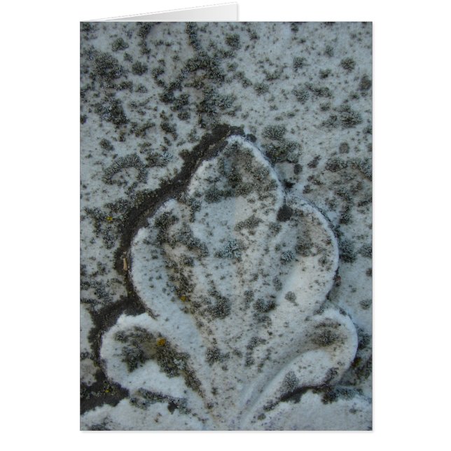 Oude Tombstone-decoratie, blanco binnenin (Voorkant)