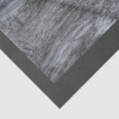 Oude tonnepapier voor 20x30 deklagen tissuepapier (Detail)