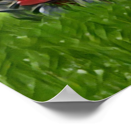 Oude tractor poster (Hoek)