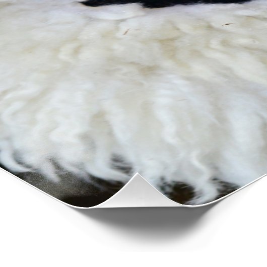 oude traditionele roemeense dacse paganmaskers poster (Hoek)