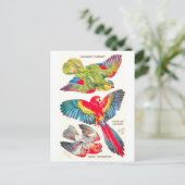 Oude Tropische Vogels Briefkaart (Staand voorkant)