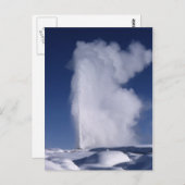 Oude Trouwe in Winter Briefkaart (Voorkant / Achterkant)