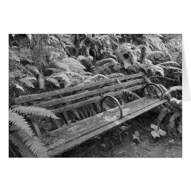 Oude tuinbank in zwart-wit (Voorkant Horizontaal)