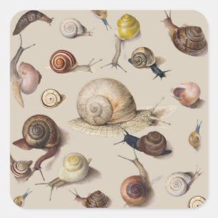Oude Tuinslakken Wetenschappelijke Illustratie Vierkante Sticker