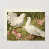 Oude twee paasdoven en roze rozen briefkaart (Voorkant / Achterkant)