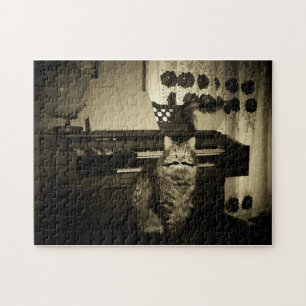 Oude tyme speelt ze uit de kat legpuzzel