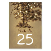 Oude uithuwtaarten kaarten plaatsen kaarten (Achterkant)