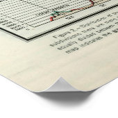 Oude US Natural Vegetation Map (1923) Poster (Hoek)