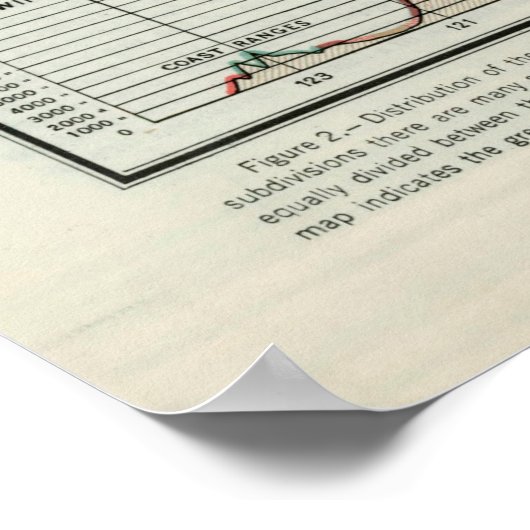 Oude US Natural Vegetation Map (1923) Poster (Hoek)