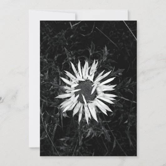 Oude ventilator kaart (Voorkant)