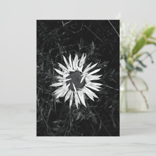 Oude ventilator kaart (Staand voorkant)