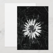 Oude ventilator kaart (Voorkant / Achterkant)