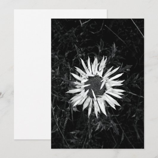 Oude ventilator kaart (Voorkant / Achterkant)