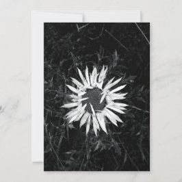 Oude ventilator kaart