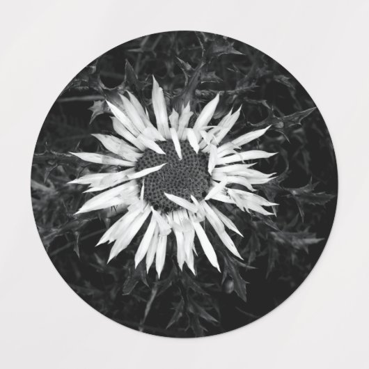 Oude ventilator labels (Design 2)