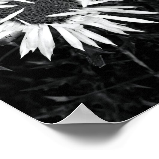 Oude ventilator poster (Hoek)