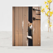 Oude Verjaardag Schuur Kat  Kaart (Gele Bloem)