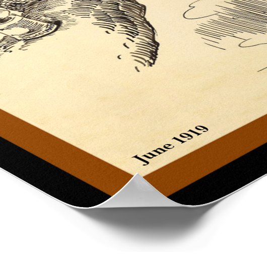 Oude verkiezing Elephant & Donkey Vote Vist (kopie Poster (Hoek)