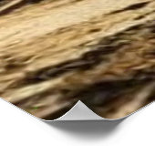 Oude verlaten 19e-eeuwse stad Main Street Poster (Hoek)