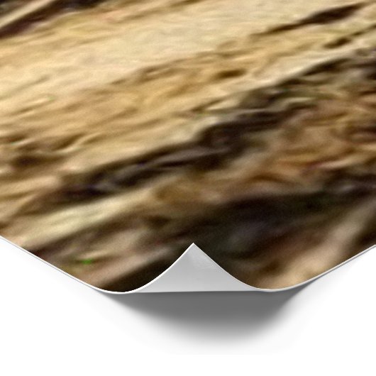 Oude verlaten 19e-eeuwse stad Main Street Poster (Hoek)