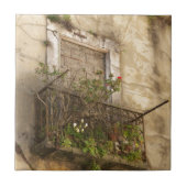 Oude verlaten huis tegeltje (Voorkant)