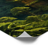 Oude Verloren Stad in het Oerwoud Poster (Hoek)