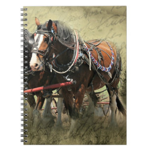 Oude Vervaagde Clydesdale-prentbriefkaart Notitieboek