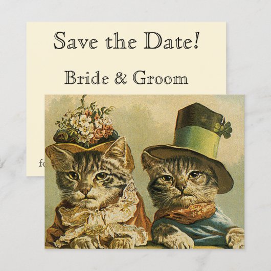 Oude Victoriaanse Grappige Katten in Huten Opslagd Save The Date (Voorkant / Achterkant)