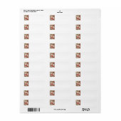 Oude victoriaanse Valentijnsdag kind met rozen Etiket (Full Sheet)