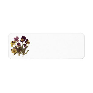 Oude violen in bloei, bloementuin bloemen etiket