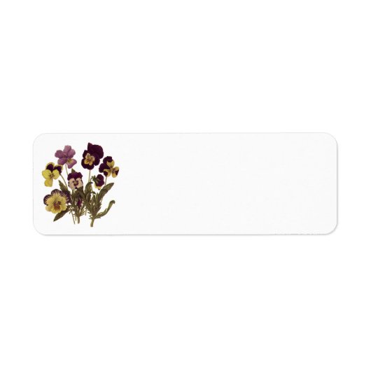 Oude violen in bloei, bloementuin bloemen etiket (Voorkant)