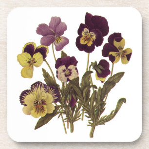 Oude violieren in bloei, bloemen in de tuin bier onderzetter