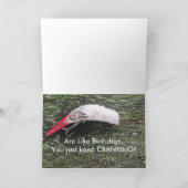 Oude Vist Verjaardag Kaart (Binnen)