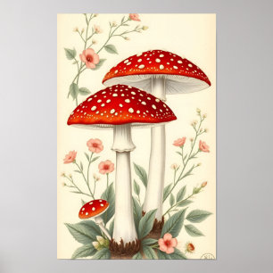 Oude Vliegenzwam Rode En Witte Paddenstoelen Bloem Poster