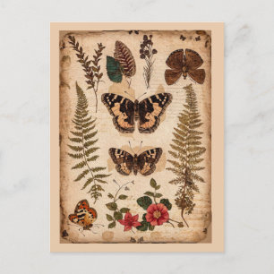 Oude vlinders varens natuurdagboek briefkaart