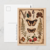 Oude vlinders varens natuurdagboek briefkaart (Voorkant / Achterkant)