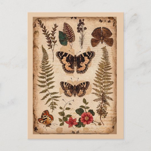 Oude vlinders varens natuurdagboek briefkaart (Voorkant)