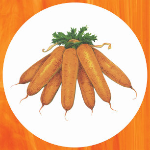 Oude voeding, bos biologische wortels groenten ronde sticker