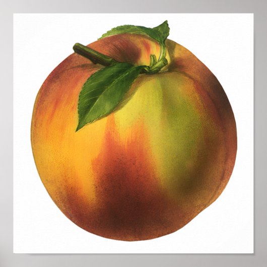 Oude voeding fruit, rijpe biologische perzik met b poster (Voorkant)