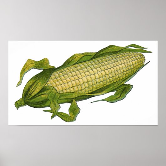 Oude voeding, Gezonde Groenten, Kolf Mais Poster (Voorkant)