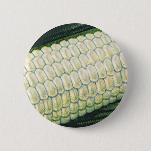Oude voedingsgroenten Witte maïs aan de kolf Ronde Button 5,7 Cm (Voorkant)