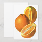Oude Voedingsmiddelen, Biologisch Vers Gezond Frui (Voorkant / Achterkant)