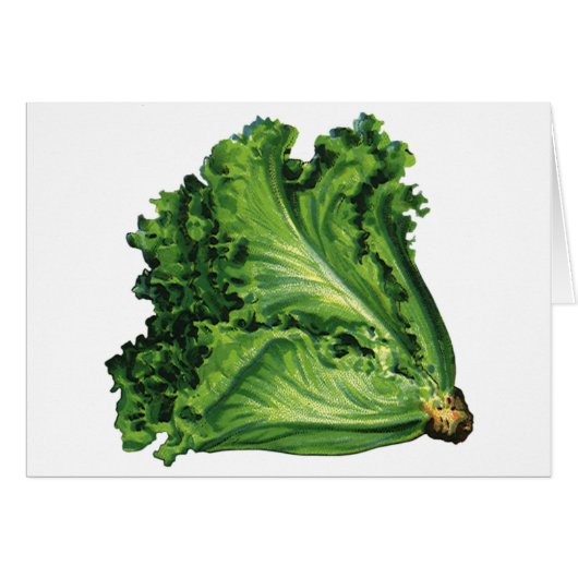 Oude Voedingsmiddelen, Groene Blad Sla Groenten (Voorkant Horizontaal)