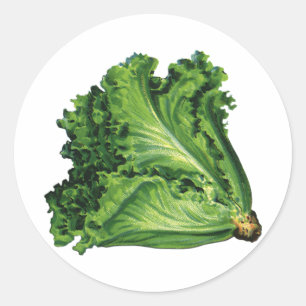 Oude Voedingsmiddelen, Groene Bladsla Groenten Ronde Sticker