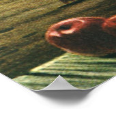 Oude voedingsmiddelen, winterpompoen, pompoen en a poster (Hoek)